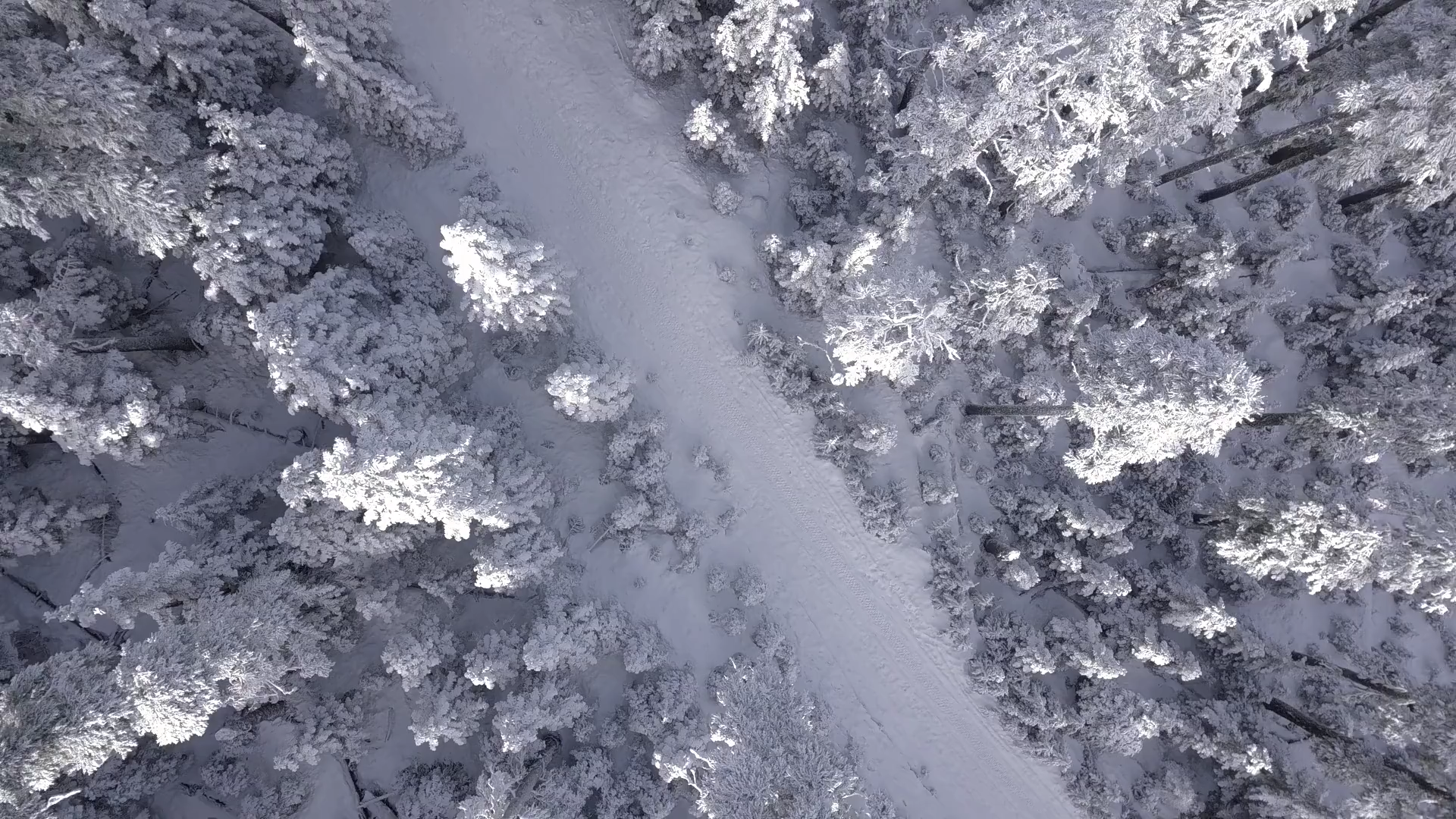 A snowy landscape